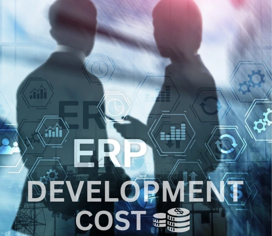 customized_ERP_development