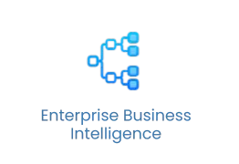 Enterprise Business Intelligence